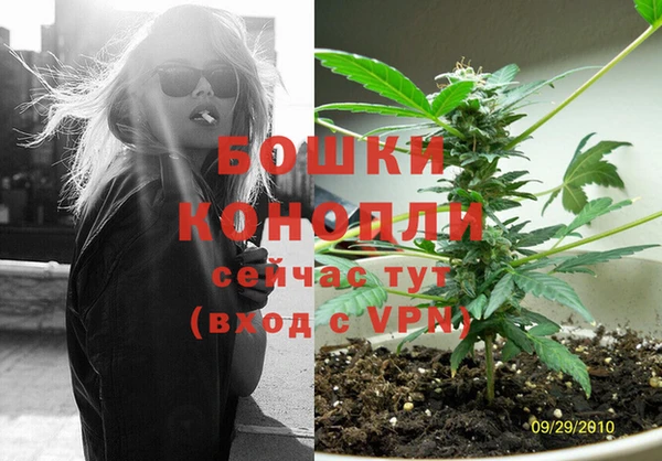 дживик Верея